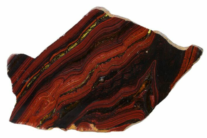 Polished Tiger Iron Stromatolite Slab - Billion Years #162099